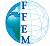 FFEM